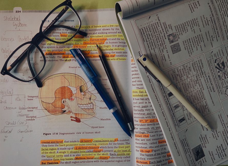 Como estudar para o ENEM sem abandonar sua rotina